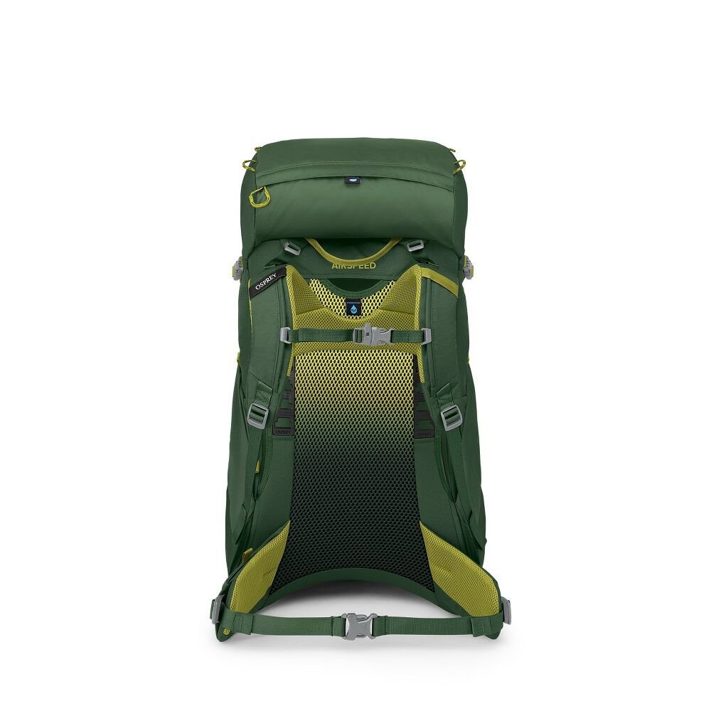 Osprey Ace 38L Junior Hiking Backpack (Green Canopy/Matcha Green) 🌱