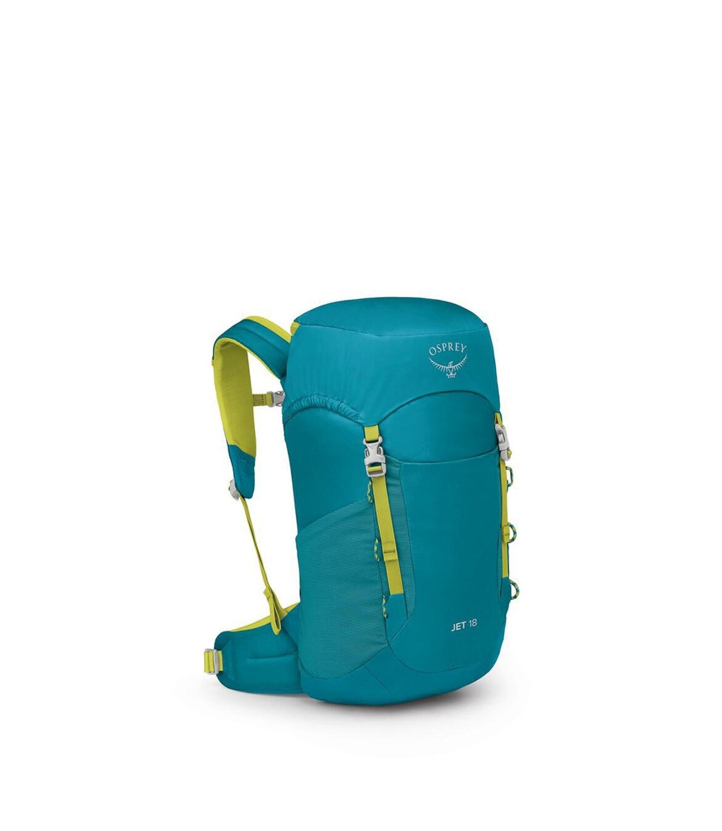 Jet 18 - Blue Spikemoss