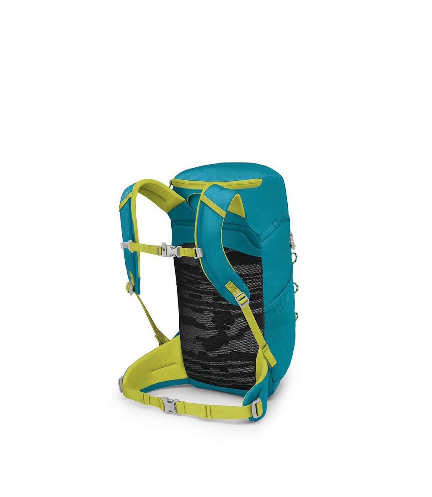 Jet 18 - Blue Spikemoss