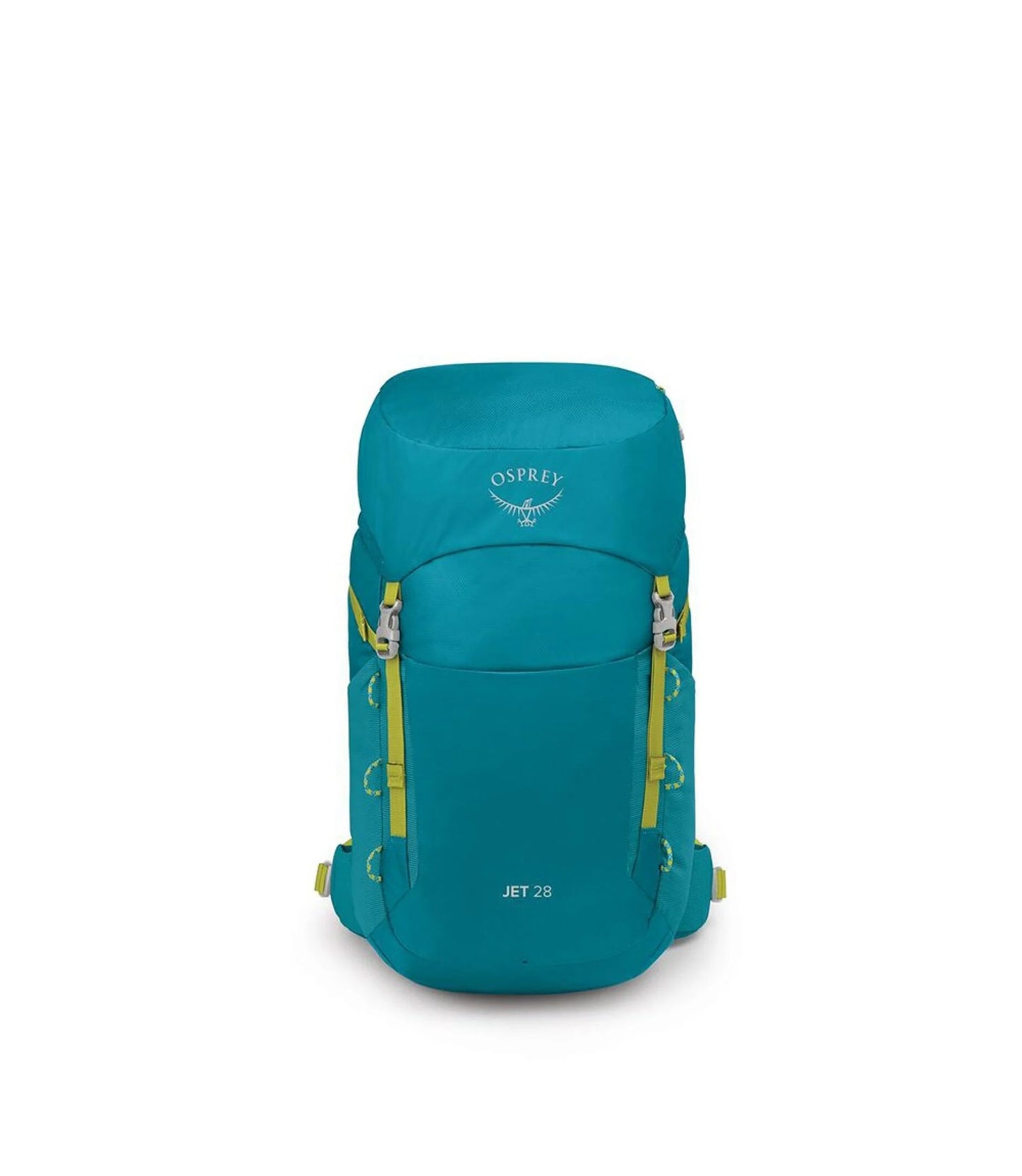 Jet 28 - Blue Spikemoss