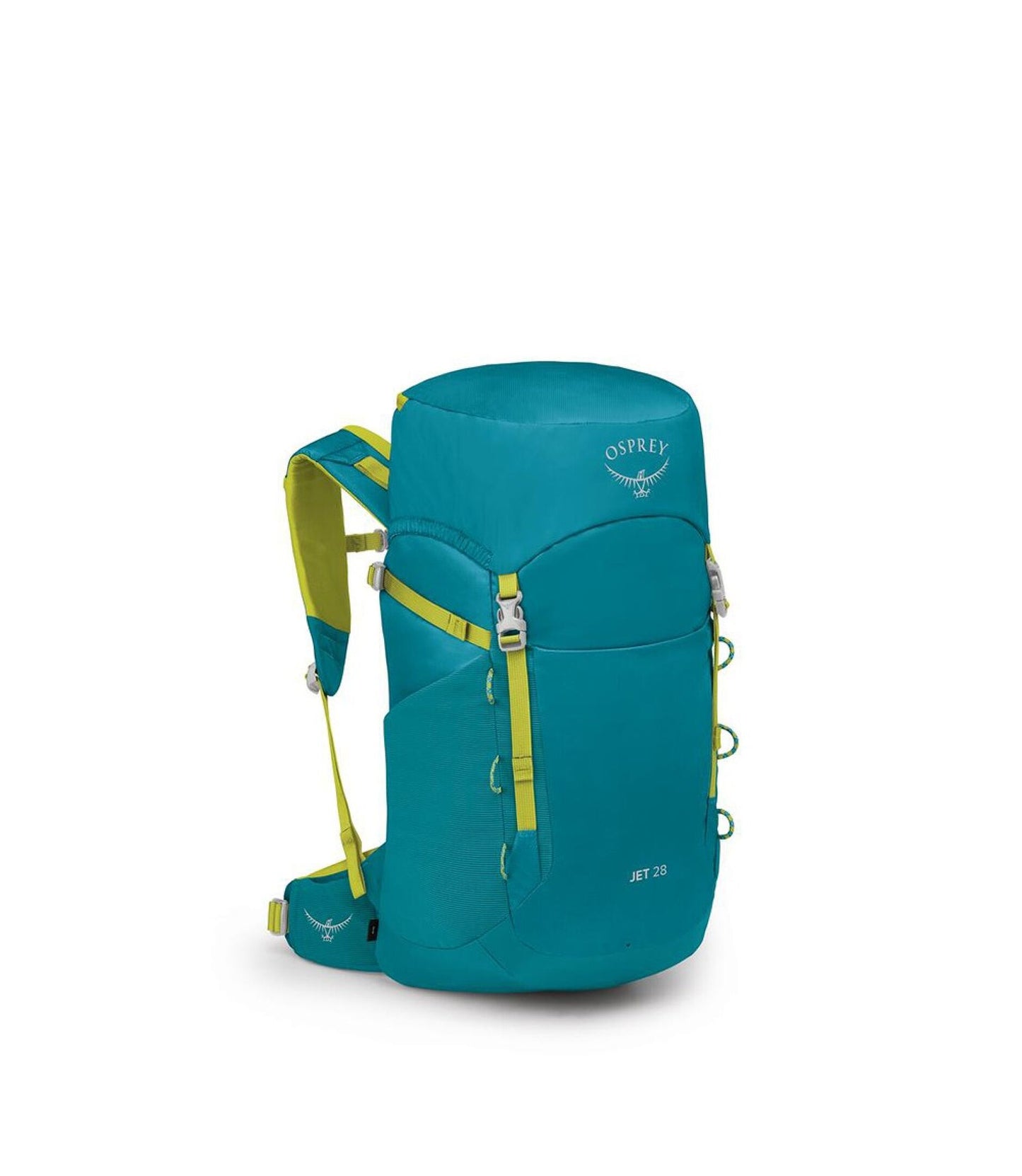 Jet 28 - Blue Spikemoss