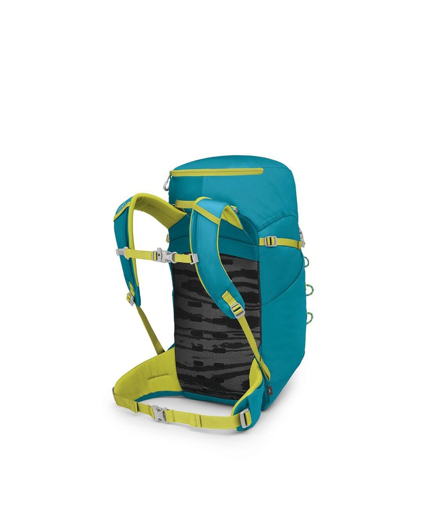 Jet 28 - Blue Spikemoss